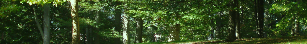 Live sex that is gay adult cams web cam fuck